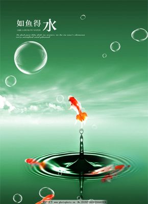 企业文化如鱼得水 广告设计让您的团队游刃有余